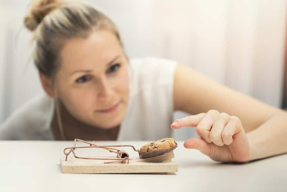 shutterstock_756085357-min